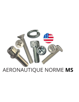 VISSERIE AMERICAINE AERONAUTIQUE MS